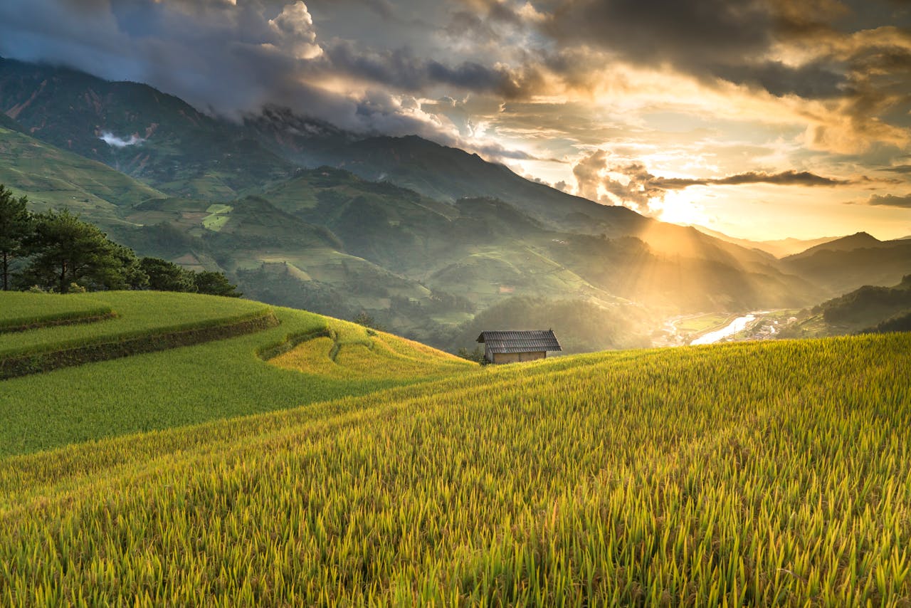Sunrise over terraced fields with mountains in the background, showcasing natural beauty.