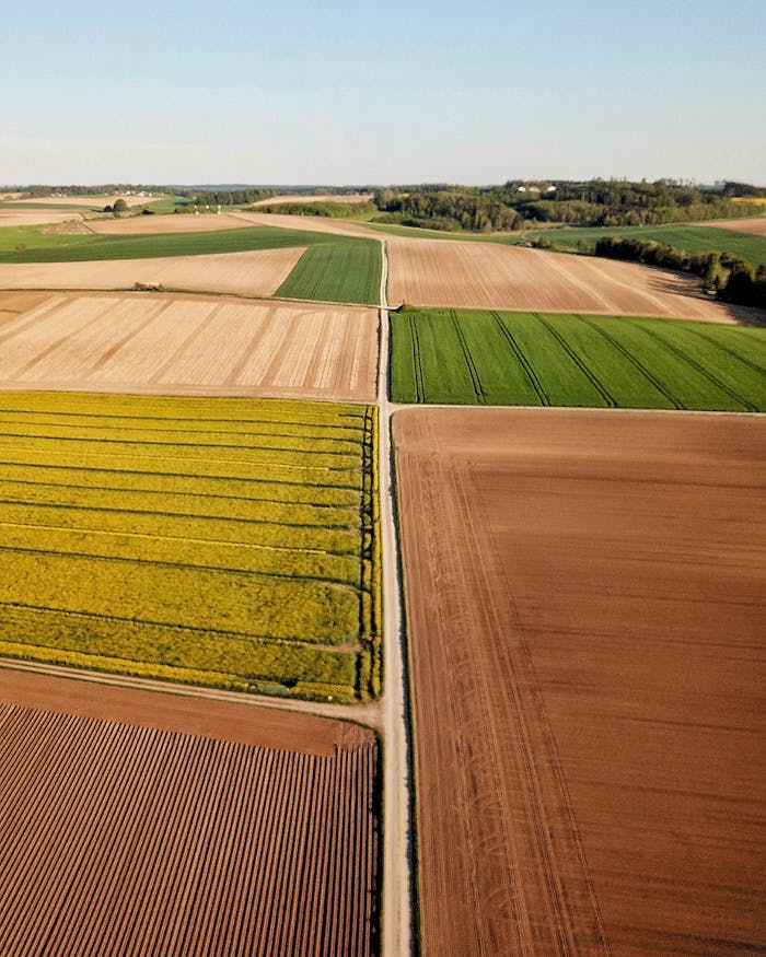 A vibrant aerial shot of diverse farmland patterns in Wallersdorf, Germany.